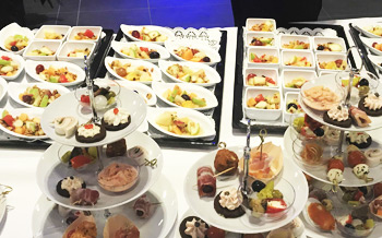 vip-zelt3